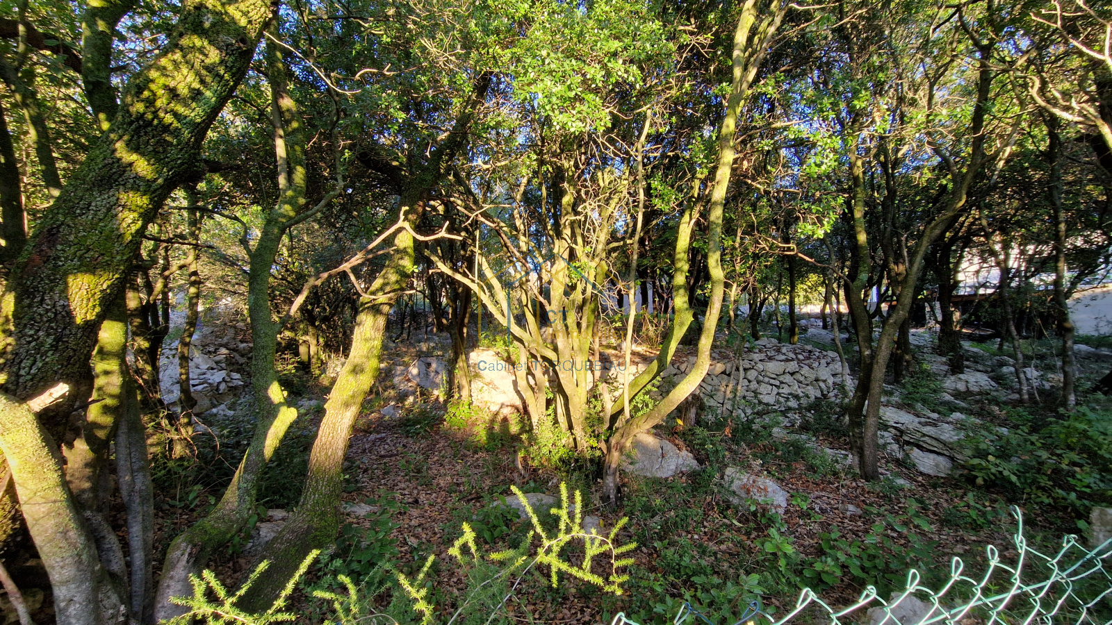 Image_, Terrain, Viols-le-Fort, ref :v3822